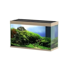 CIANO Aquarium équipé Émotions Pro 100 Mystic - 201 L
