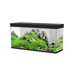 CIANO Aquarium équipé Émotions Pro 120 noir - 239 L