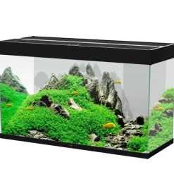 CIANO Aquarium équipé Émotions Pro 100 noir - 201 L
