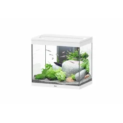 AQUATLANTIS Aquarium équipé Splendid blanc - 109L