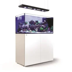 RED SEA Aquarium ReefLED éclairage, meuble blanc, AQUARIUM Peninsula Deluxe P500 - 500L