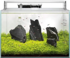 SUPERFISH Aquarium tout équipé en verre blanc Scaper 90 - 60 x 40 x 38 cm