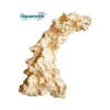 AQUAROCHE Aquascaping Arche Inclinable 38x19x38 cm