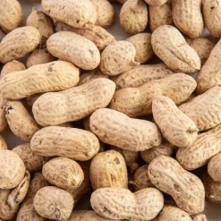 GRAIN DE VIE Arachides entières pour oiseaux - 500 g