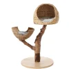 HAMIFORM Arbre à chat coloris marron AZKARA 02 - 60 x 60 x 110 cm