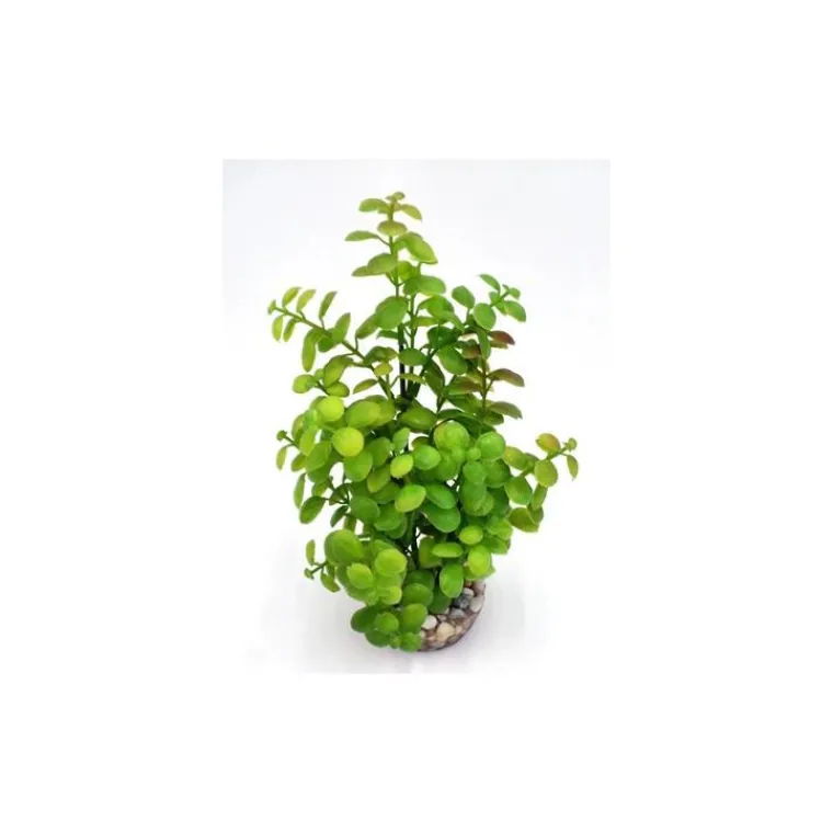 LABEO Arbre lentille vert en plastique grand modèle 22 cm