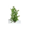 LABEO Arbre vert en plastique grand modèle 38 cm