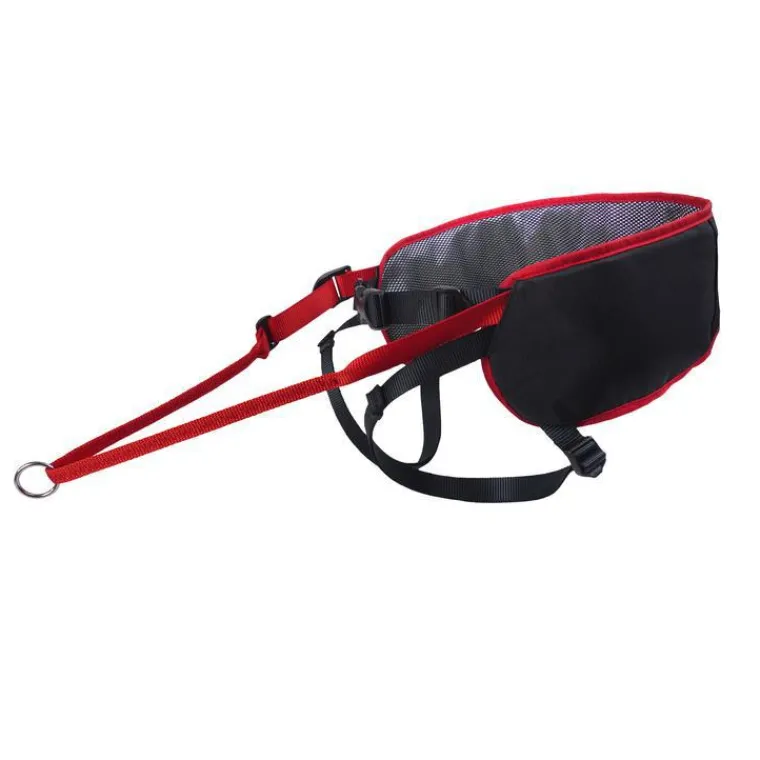 KYFLIE Baudrier Ludus Performance Taille 1 Mesure des hanches 70-95 cm Noir