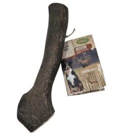 BUBIMEX Bois de cerf pour chien - Taille XXL