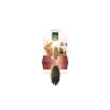 HAMIFORM Brosse simple en bois pour rongeurs 18x6 cm