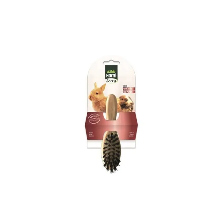HAMIFORM Brosse simple en bois pour rongeurs 18x6 cm