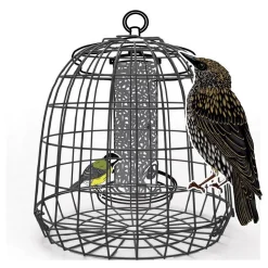 NATURES MARKET Cage de protection anti-étourneaux noire en métal Ø 27,5 x 25 cm