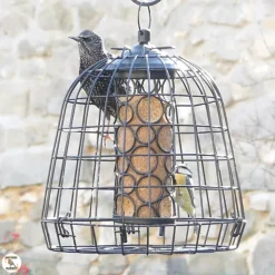 NATURES MARKET Cage de protection anti-étourneaux noire en métal Ø 27,5 x 25 cm
