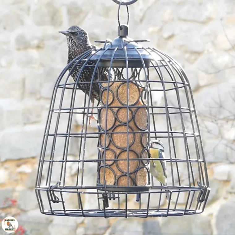NATURES MARKET Cage de protection anti-étourneaux noire en métal Ø 27,5 x 25 cm