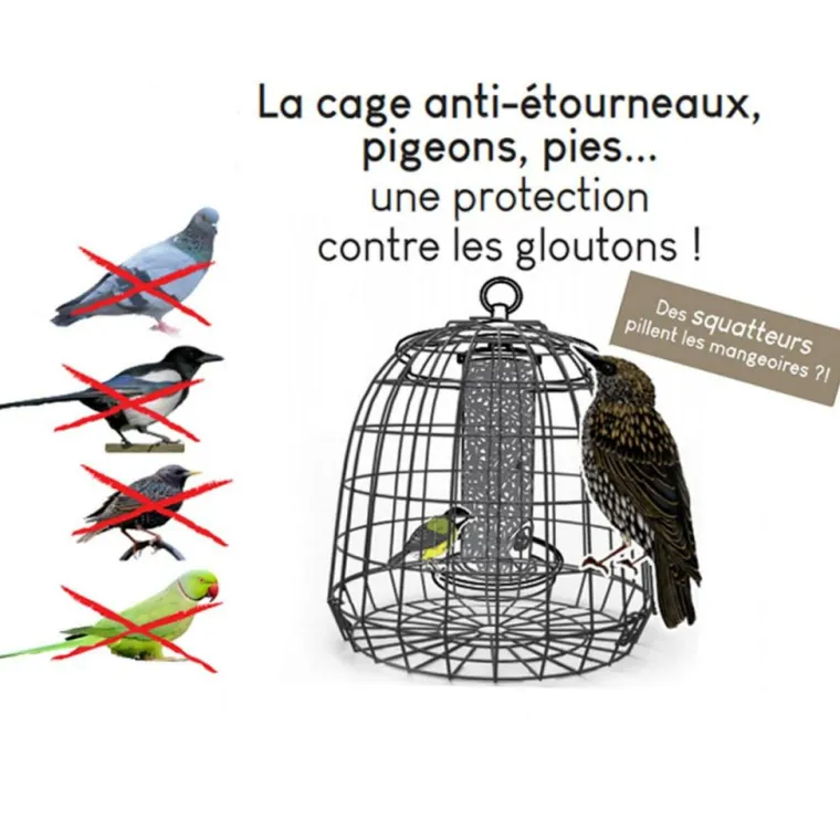 NATURES MARKET Cage de protection anti-étourneaux noire en métal Ø 27,5 x 25 cm