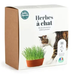 RADIS ET CAPUCINE Coffret herbe à chat
