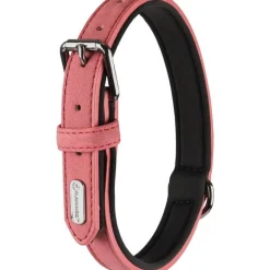 FLAMINGO Collier chien Delu rose 52/62 x 3 cm