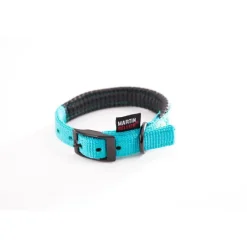MARTIN SELLIER Collier droit Confort pour chien coloris turquoise - 2,5x55 cm