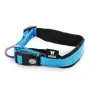 MARTIN SELLIER Collier neo+ bleu 1,5 x 30-35 cm