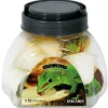 REPTILE PLANET Complément alimentaire pour lézard protéines Vita Jelly Protein Lizzard - x 10 dosettes