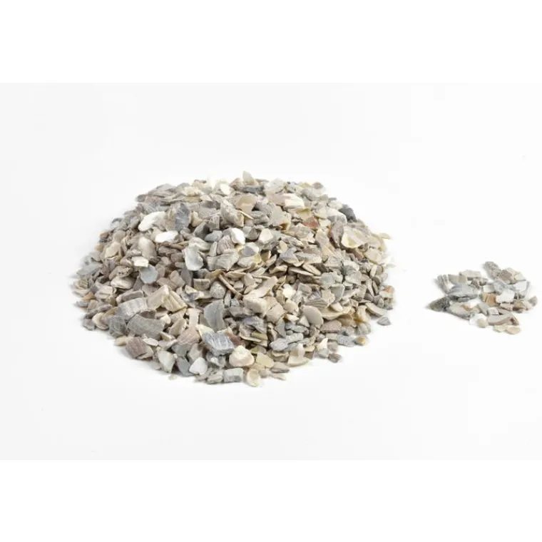 MAGALLI Coquilles d’huitres marines calcaires 5 kg
