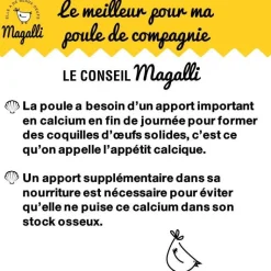 MAGALLI Coquilles d’huitres marines calcaires 5 kg