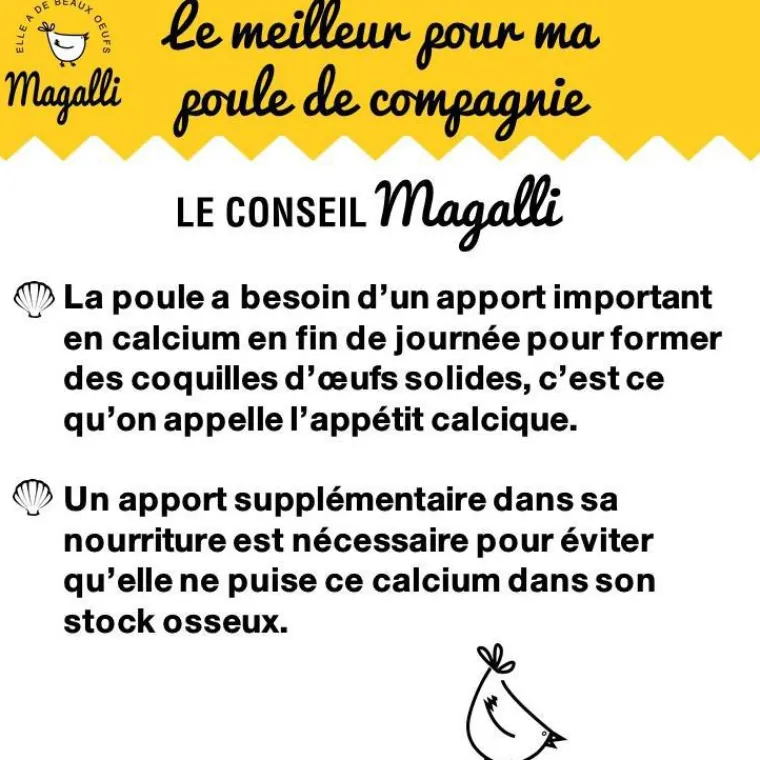 MAGALLI Coquilles d’huitres marines calcaires 5 kg