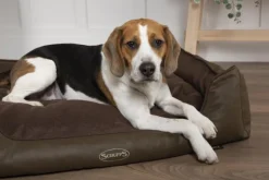 SCRUFFS Corbeille à mémoire de forme pour chien marron Hilton – Taille M