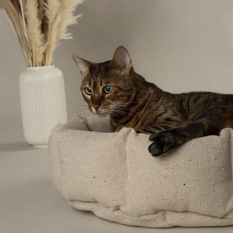 SCRUFFS Corbeille pour chat en tissu vert Eco Eden - 45 cm