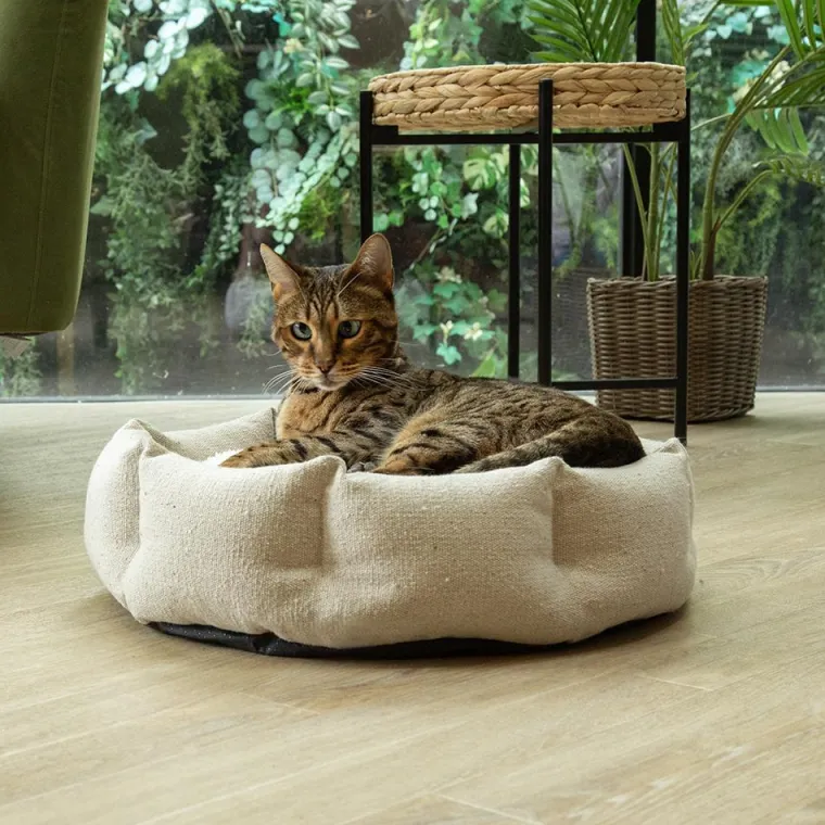 SCRUFFS Corbeille pour chat en tissu vert Eco Eden - 45 cm