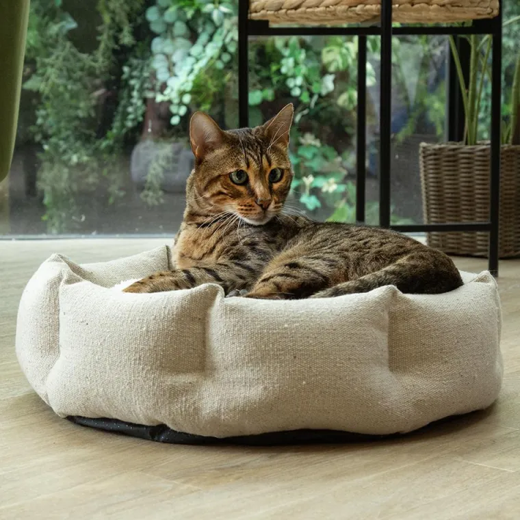SCRUFFS Corbeille pour chat en tissu vert Eco Eden - 45 cm