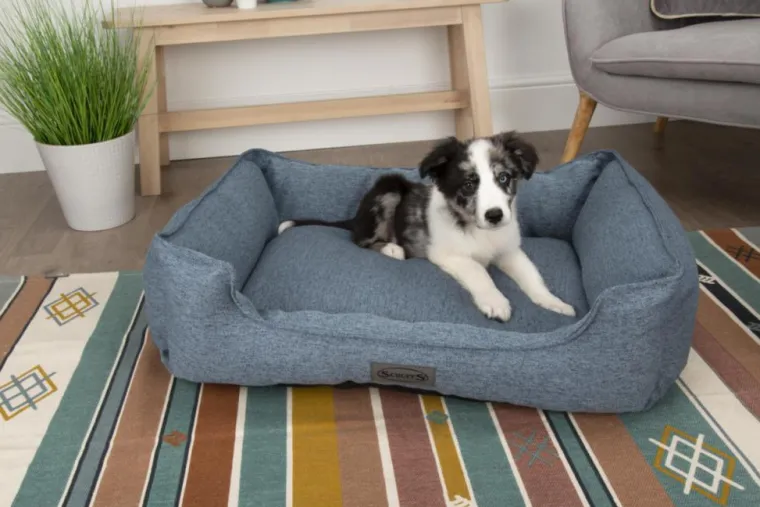 SCRUFFS Corbeille pour chien bleu Manhattan – Taille M