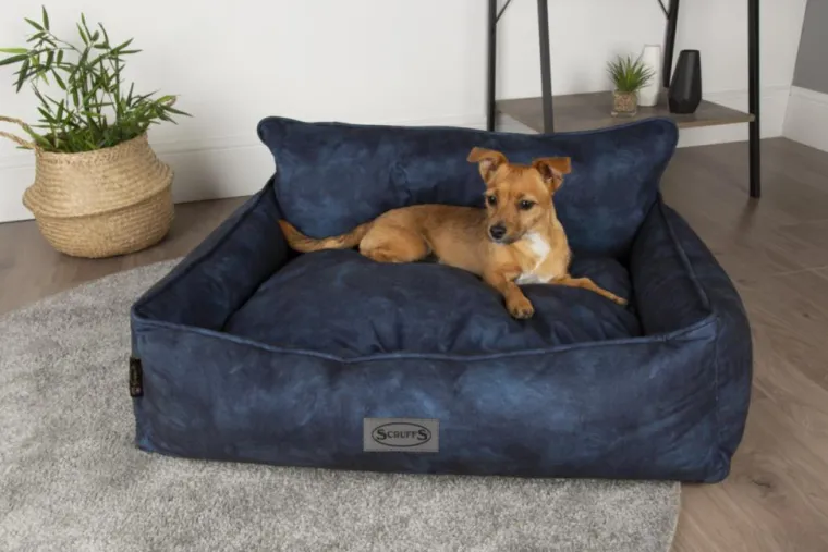 SCRUFFS Corbeille pour chien bleu Kensington – Taille XL
