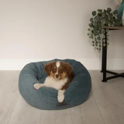 SCRUFFS Corbeille pour chien coloris vert Oslo Donut – Taille 2XL