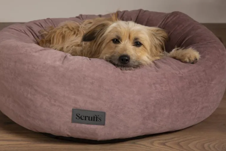 SCRUFFS Corbeille pour chien coloris rose Oslo Donut – Taille L