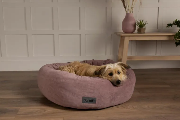 SCRUFFS Corbeille pour chien coloris rose Oslo Donut – Taille L