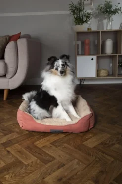 SCRUFFS Corbeille pour chien coloris terracotta Cosy – Taille XL