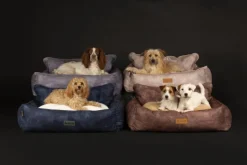 SCRUFFS Corbeille pour chien marron Kensington – Taille XL