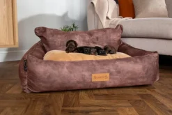 SCRUFFS Corbeille pour chien marron Kensington – Taille XL