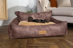 SCRUFFS Corbeille pour chien marron Kensington – Taille M