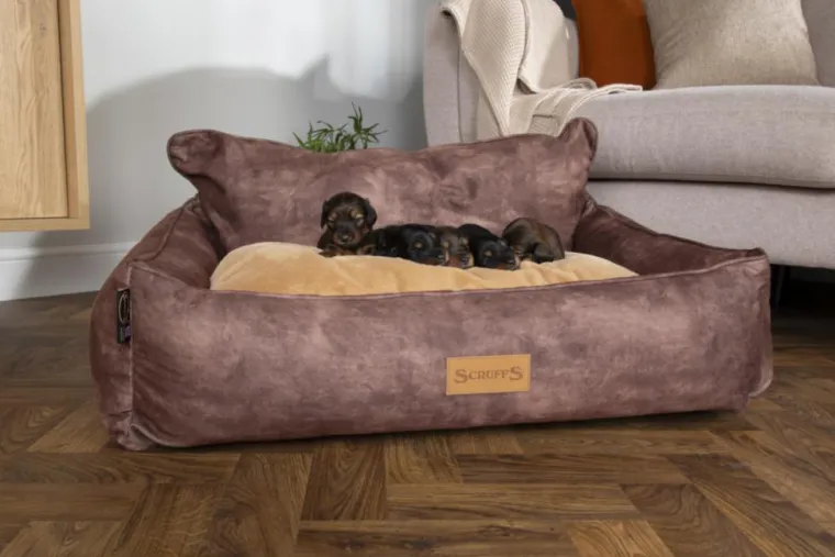 SCRUFFS Corbeille pour chien marron Kensington – Taille M