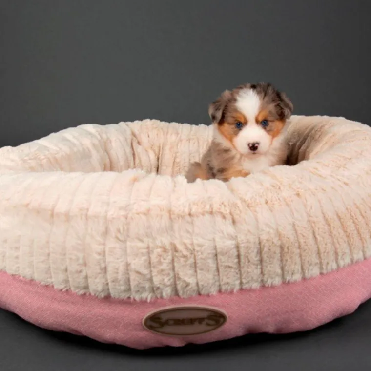 SCRUFFS Corbeille pour chien rose Ellen - Taille XL