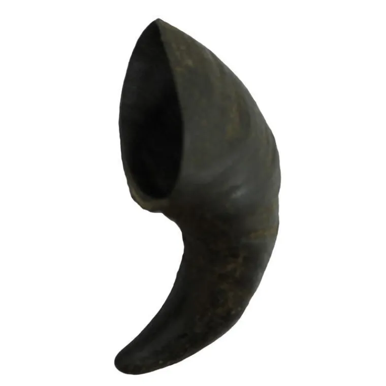 BUBIMEX Corne de buffle pour chien – Taille S
