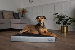 SCRUFFS Couchage orthopédique pour chien coloris gris ArmourDillo Orthopaedic - Taille XL 116 x 75 x 15 cm
