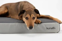 SCRUFFS Couchage orthopédique pour chien coloris gris ArmourDillo Orthopaedic - Taille XL 116 x 75 x 15 cm