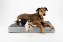 SCRUFFS Couchage orthopédique pour chien coloris gris ArmourDillo Orthopaedic - Taille XL 116 x 75 x 15 cm