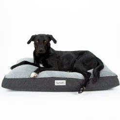 SCRUFFS Couchage orthopédique pour chien coloris gris Harvard - Taille L 100 x 70 x 12 cm