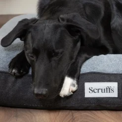 SCRUFFS Couchage orthopédique pour chien coloris gris Harvard - Taille L 100 x 70 x 12 cm