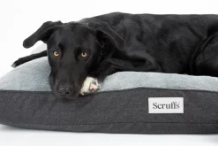SCRUFFS Couchage orthopédique pour chien coloris gris Harvard - Taille XXL 140 x 100 x 20 cm