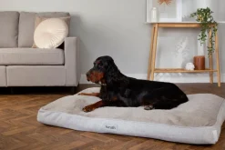 SCRUFFS Couchage orthopédique pour chien coloris marron Harvard - Taille XL 120 x 75 x 16 cm